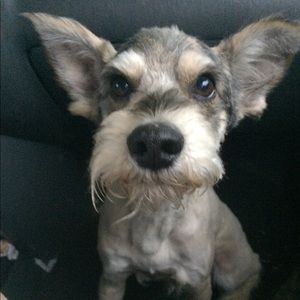 Meet your Posher, Emily